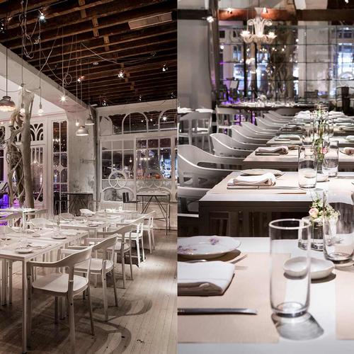 ABC Kitchen Corporate Site